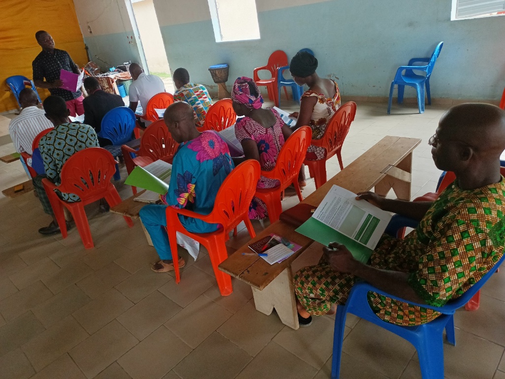 LMI Global Partnership | Côte d'Ivoire Partnership