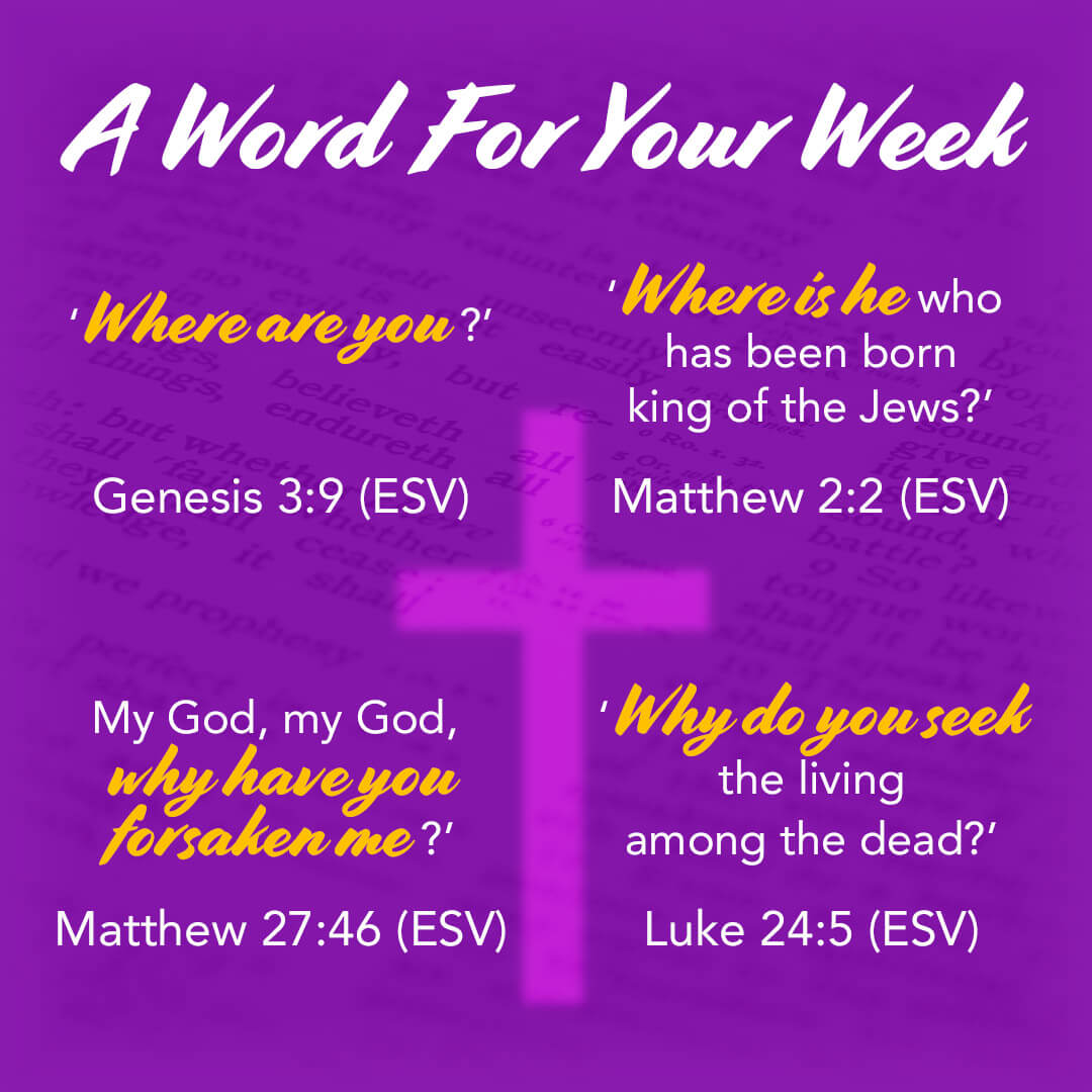 LMI's A Word For Your Week Devotional looking at questions asked throughout the bible.